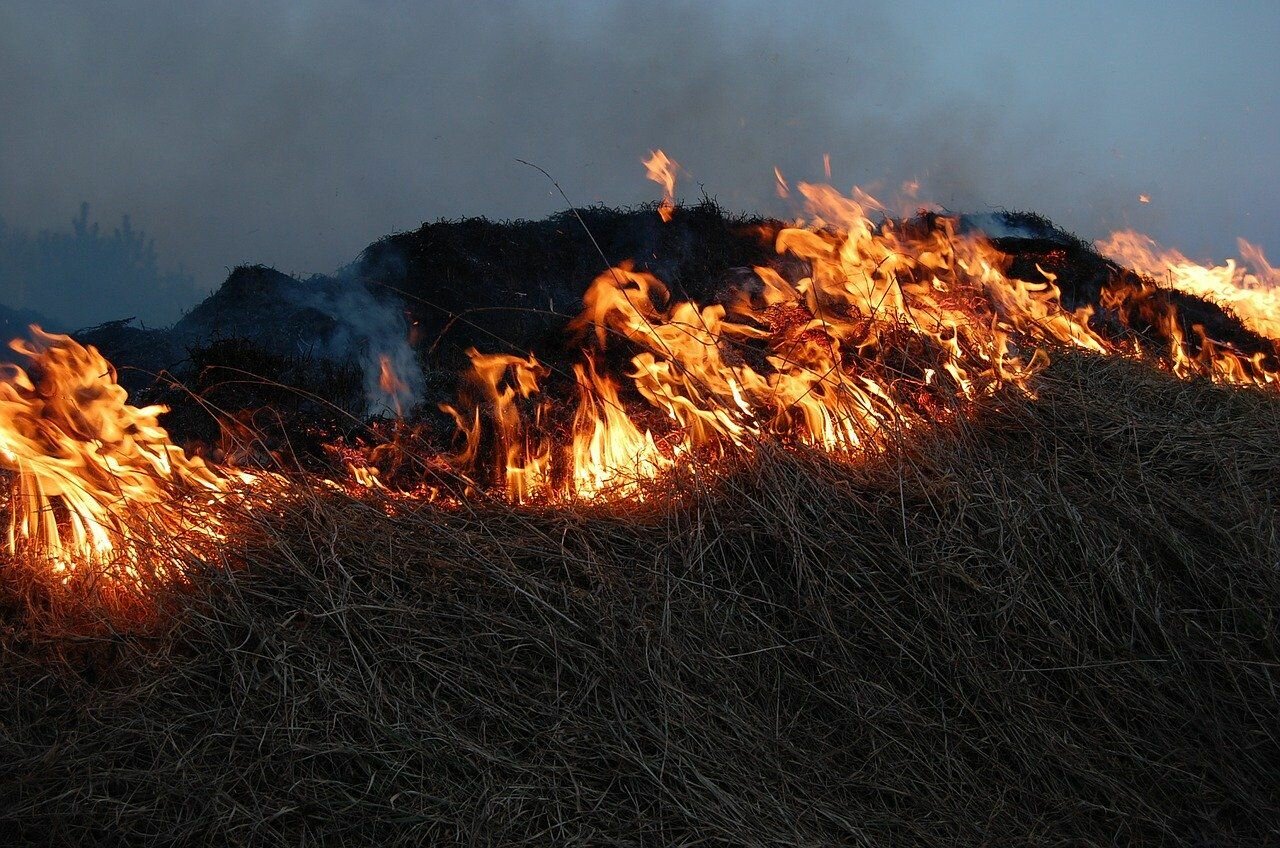 Кличко связал загрязнение воздуха в Киеве с массовыми поджогами травы
