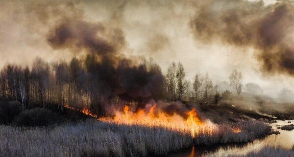В Житомирской области возгорание сухой травы стало причиной масштабного пожара в селе 