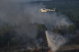 В сети опубликовано видео ужасных последствий масштабных пожаров в Чернобыльской зоне