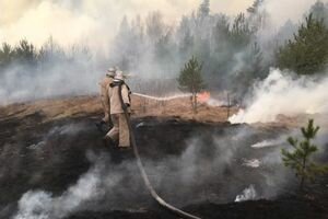 Пожары в Украине: спасатели еще тушат очаги в зоне отчуждения и под Житомиром