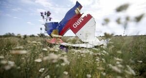 В минтранспорта Малайзии заявили, что доказательств вины России в катастрофе MH17 недостаточно