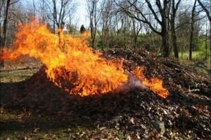 Украинцев могут начать штрафовать за сжигание мусора и листьев