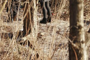 В Киеве парень нашел человеческие останки на берегу Днепра (фото)