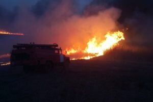 В Черкасской области из-за поджога сухой травы едва не сгорело село