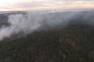 Спустя сутки спасатели ликвидировали пожар в Чернобыльской зоне