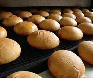 Lauffer Group заявили о выделении 10 тонн хлеба ежемесячно на социальные нужды