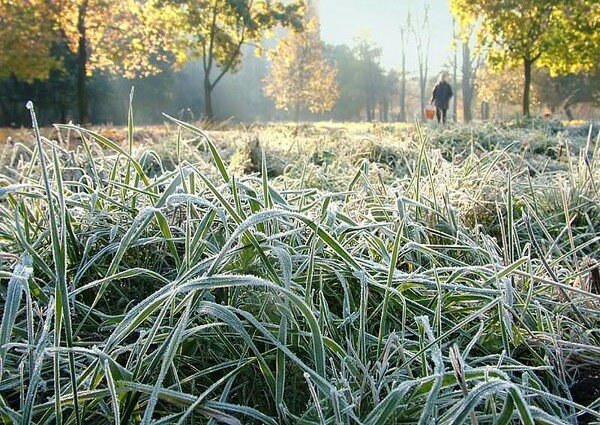 Украинцев предупредили о сильных заморозках в ряде областей