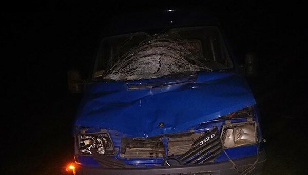 Стоял ночью посреди трассы: в Тернопольской области водитель микроавтобуса сбил мужчину (фото)