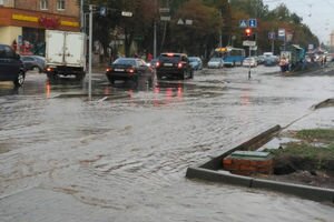 Непогода и дождь оставили часть Винницкой области без электричества