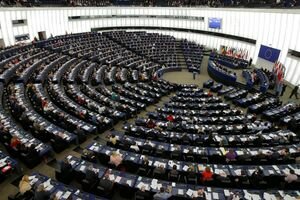 В Европарламент впервые баллотируются украинские мигранты: стали известны подробности