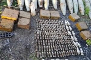 В Луганской области нашли крупный запас артиллерийских снарядов (фото)