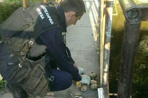В парковом озере Львова нашли сумку с боеприпасами