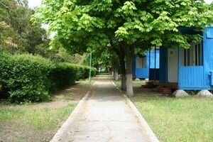 В Одесской области закроют лагерь, в котором отравились 60 детей