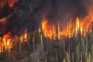 Дым от масштабных лесных пожаров в Сибири достиг США и Канады 