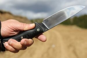 В Одессе пьяный врач-дебошир угрожал курьеру ножом (видео)
