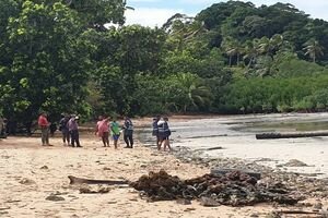 На Фиджи разбился медицинский вертолет с ребенком на борту: есть погибшие