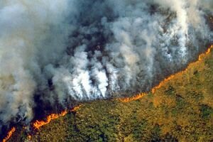 Канада поможет в тушении лесных пожаров в Амазонии деньгами и самолетами