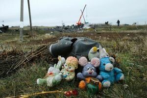 Нидерланды объяснили, как будут расследовать "роль Украины" в катастрофе MH17