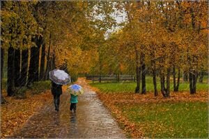 В Украину пришла настоящая осень: синоптики предупредили о дождях во вторник