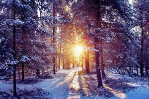 Синоптик рассказала о погоде на выходных и уточнила, когда в Украину вернется зима
