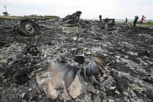  В РФ заявили о готовности передать Нидерландам данные по делу о катастрофе MH17