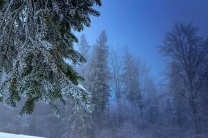 Мороз и гололедица: синоптики уточнили погоду по Украине в предпоследний день года