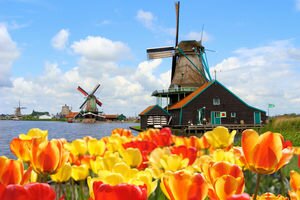 В Нидерландах официально отказались от названия "Голландия" из-за смены имиджа страны