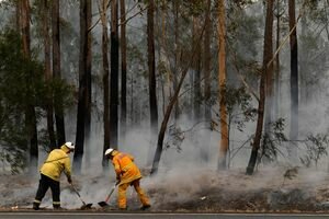 Горящие леса Австралии накрыли дожди: пожарные радостно прыгают, а чиновники опасаются (фото, видео)