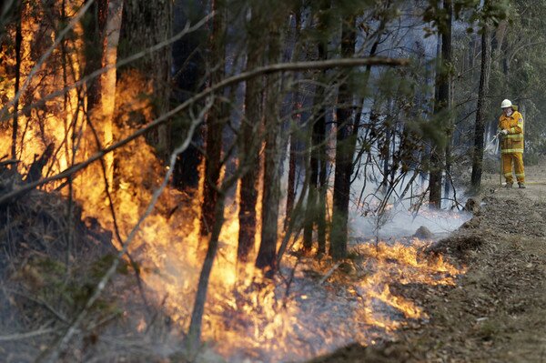Австралийские копы обвинили уже 24 человека в умышленных поджогах лесов 