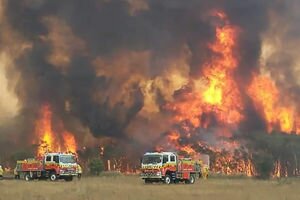 Пожары в Австралии: метеорологи назвали причины огненной катастрофы