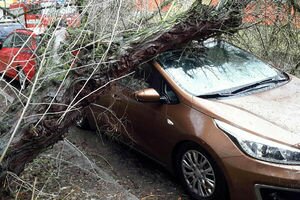 Чехию накрыл ураган с молниями: фото упавших деревьев и разбитых машин 