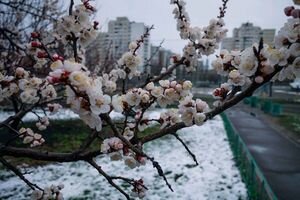 Солнечно, но морозно: синоптики уточнили, какой будет погода в Украине 24 марта