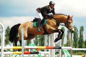 В Киевской области двое парней украли инвентарь для конного спорта