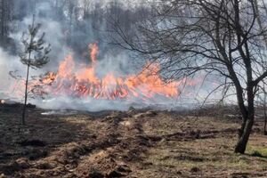 Из-за ветра в Чернобыльской зоне отчуждения снова вспыхнул пожар