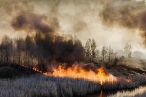 Из-за лесных пожаров в Чернобыле загорелся травяной настил у дамбы-охладителя ЧАЭС
