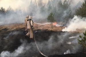 Спасатели заявили, что лесные пожары в Чернобыле не угрожают ключевым объектам ЧАЭС