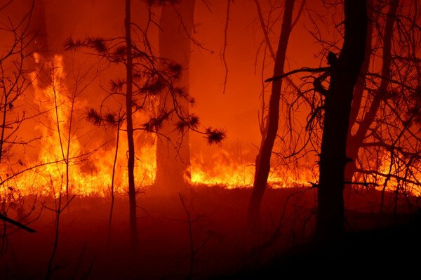 В Житомирской области к тушению лестных пожаров привлекли сотни спасателей и самолеты