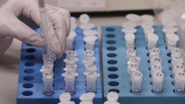В Великобритании началось масштабное тестирование лекарств от коронавируса