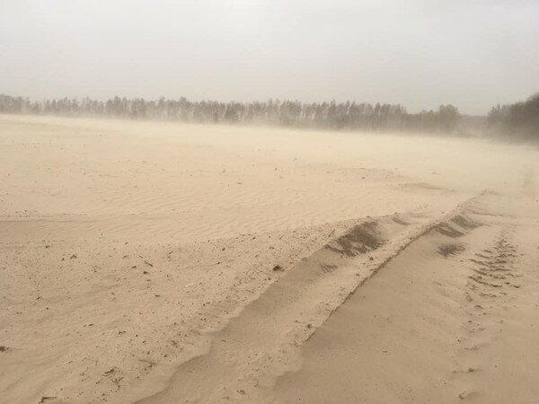 Под Черниговом из-за песчаной бури образовалась местная "Сахара": впечатляющие фото пустыни