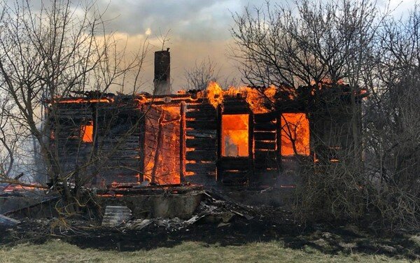Жуткие пожары в Житомирской области: губернатор рассказал о ситуации в регионе