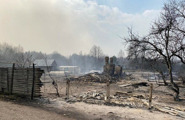 Под Житомиром огонь охватил тысячи гектаров леса и уничтожил десятки домов: видео и фото