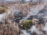Пожары в Украине: спасатели создали резерв сил и доложили Зеленскому об обстановке