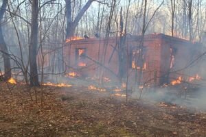 Аваков назвал вероятные причины масштабных пожаров в Житомирской области
