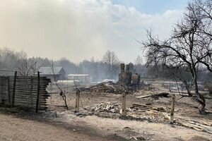 В Житомирской области оценили ущерб от масштабных лесных пожаров