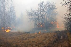 Полиция начала расследование причин масштабных пожаров в Житомирской области