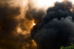 Черные клубы дыма: в Киевской области загорелся лес