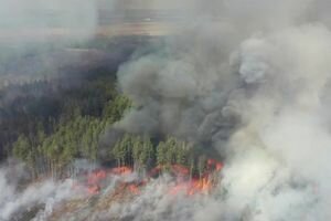 Пожары в Украине: спасатели рассказали о ситуации в зоне отчуждения и под Житомиром