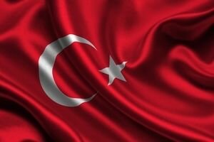Турция ограничила ввоз товаров из России