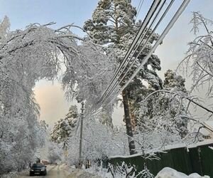 Последствия внезапных снегопадов в Украине: без света остаются более 300 населенных пунктов
