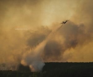 К ликвидации лесного пожара в Чернобыле привлекли воздушную технику